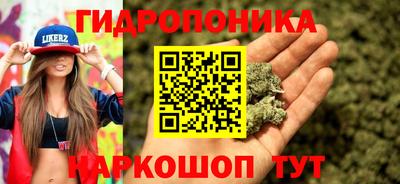 шишки Берёзовский
