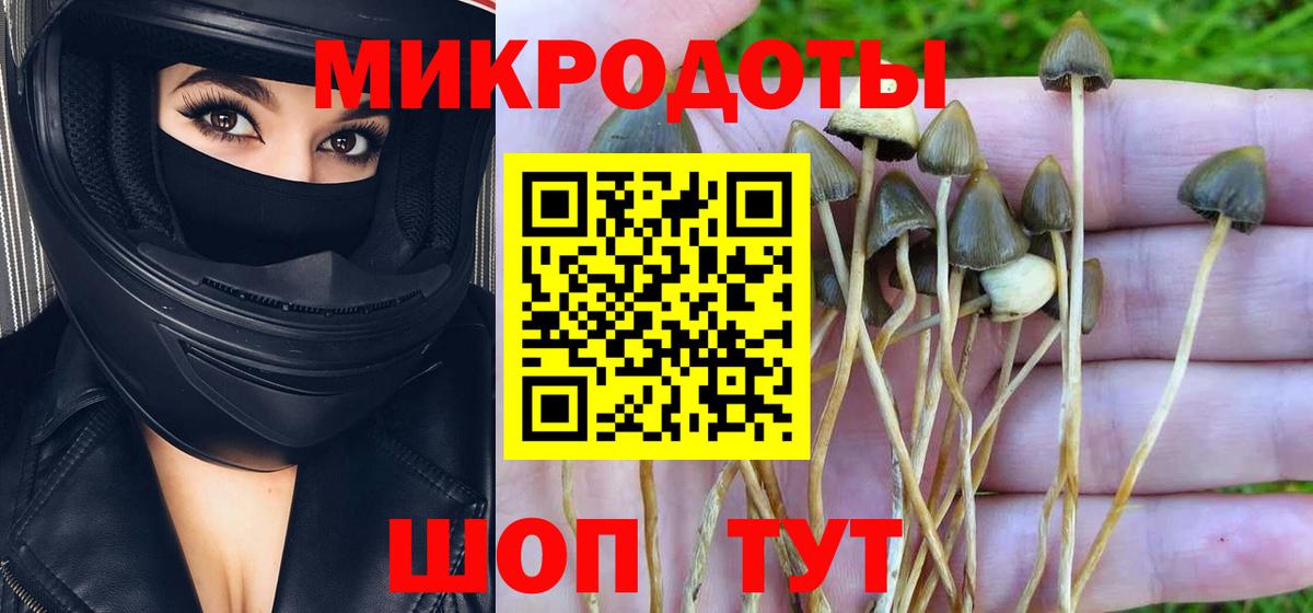 Галлюциногенные грибы прущие грибы Егорьевск