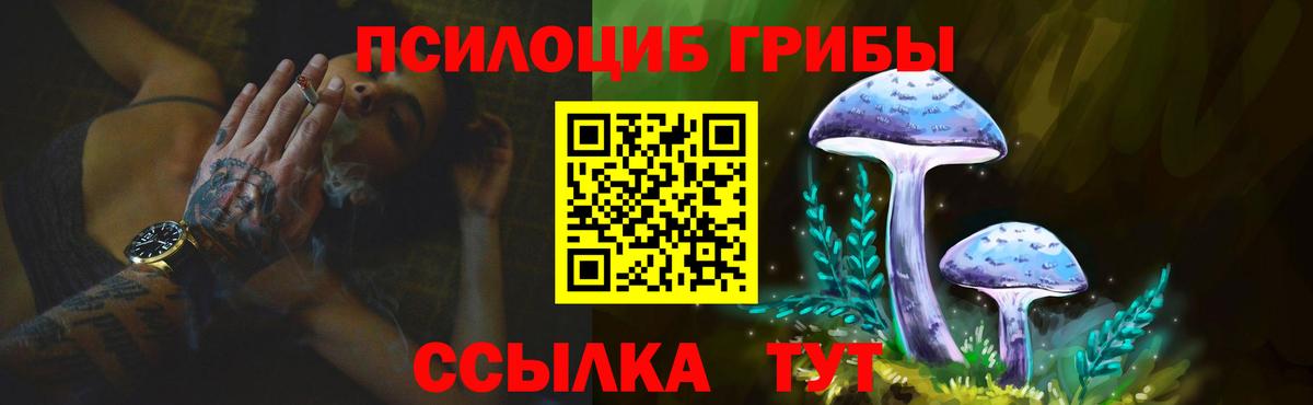 Егорьевск  Псилоцибиновые грибы GOLDEN TEACHER  Вход с VPN 