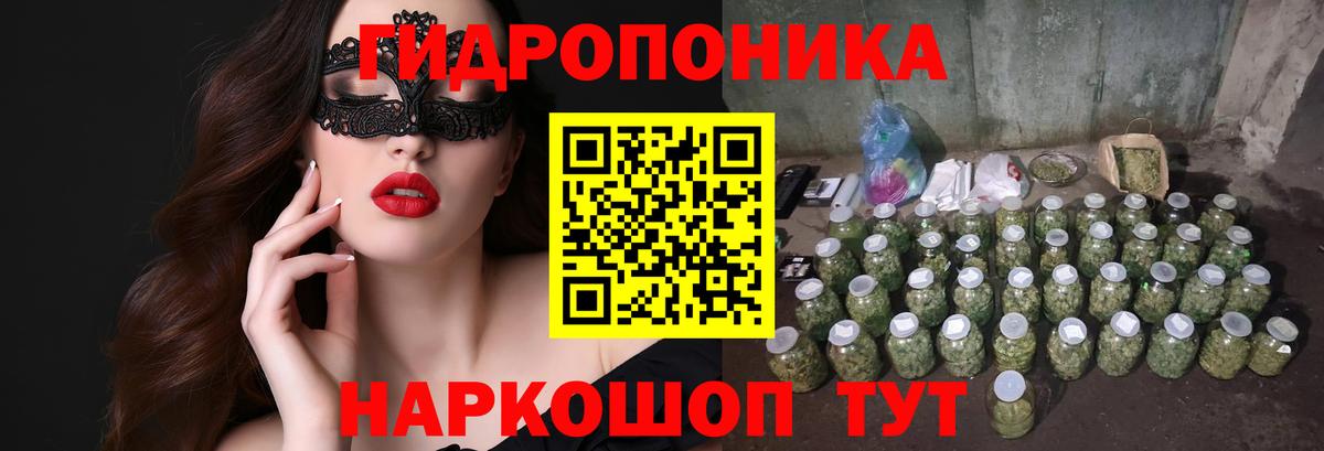 Бошки марихуана OG Kush  Вход с VPN  Каннабис индика  Бошки марихуана MAZAR  Егорьевск  Каннабис MAZAR 